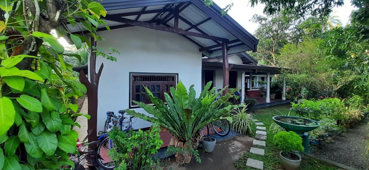 Galaxy View Sigiriya